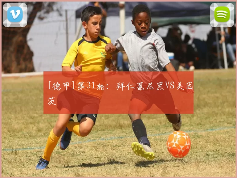 [德甲]第31轮：拜仁慕尼黑VS美因茨