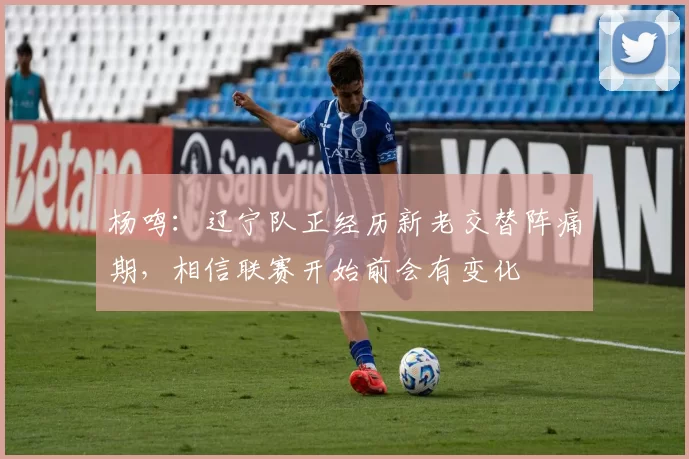 杨鸣：辽宁队正经历新老交替阵痛期，相信联赛开始前会有变化