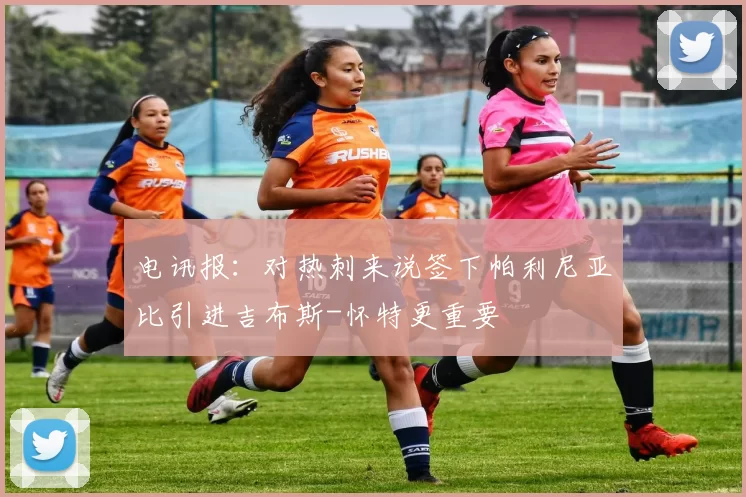 电讯报：对热刺来说签下帕利尼亚比引进吉布斯-怀特更重要