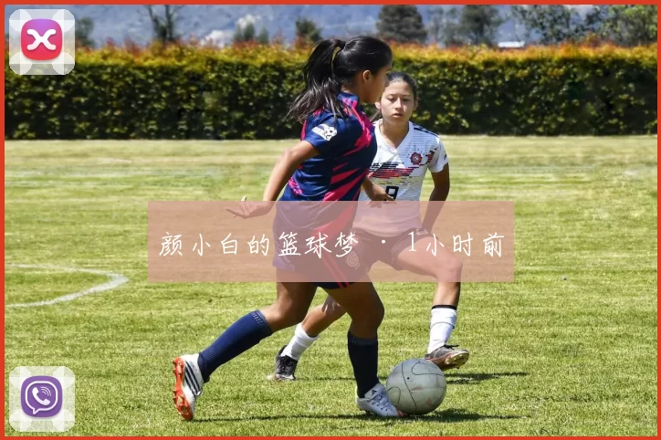 颜小白的篮球梦 · 1小时前