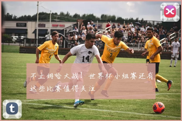 不止姆哈大战！世界杯小组赛还有这些比赛值得关注