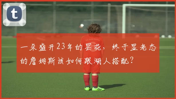 一朵盛开23年的昙花，终于显老态的詹姆斯该如何跟湖人搭配？