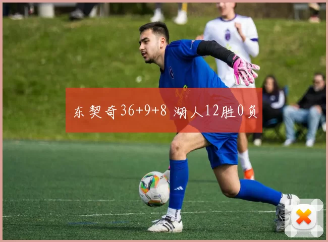 东契奇36+9+8 湖人12胜0负