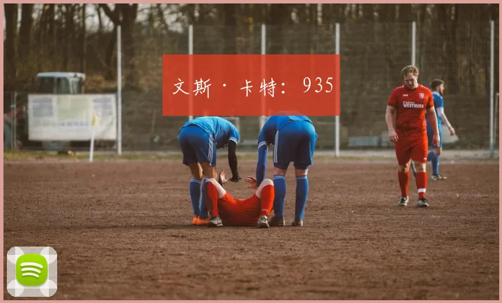 文斯·卡特：935