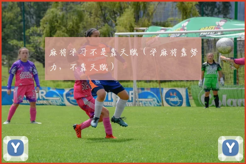 麻将学习不是靠天赋（学麻将靠努力，不靠天赋）