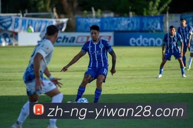 亿万28平台生态图